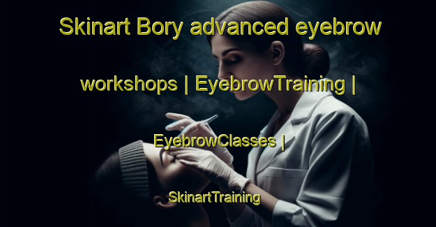 Skinart Bory advanced eyebrow workshops | EyebrowTraining | EyebrowClasses | SkinartTraining-Russian Federation